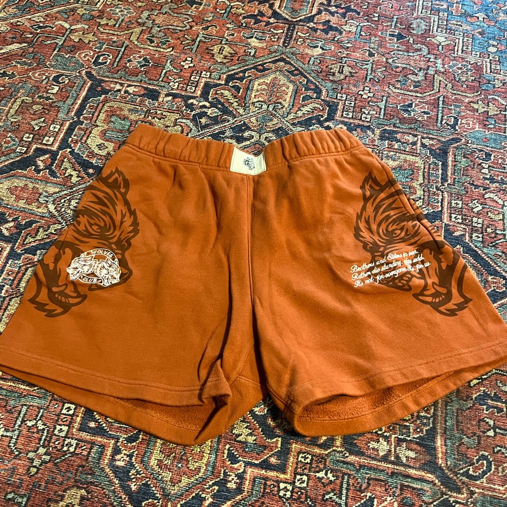 Darc Sport Rust Shorts